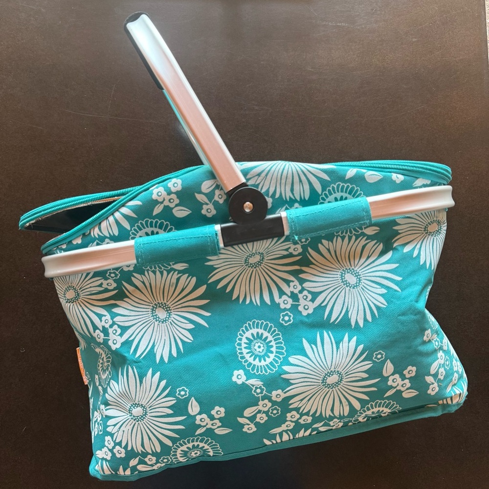 Teal Insulated picnic collapsable basket